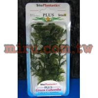 德國Tetra 仿真水草(造景假水草)水蘊草(6吋)