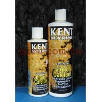 KENT 強效鈣質補充液(Calcium)補充液16oz.