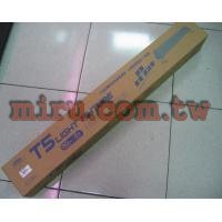 ISTA伊士達(杰立) 高效率省電T5雙燈具(3尺)(39W*2)