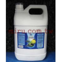 LIKON理康 白點水黴治療劑4L