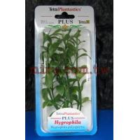 德國Tetra 仿真水草(造景假水草)柳葉草(6吋)