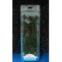 德國Tetra 仿真水草(造景假水草)梅花藻(18吋)