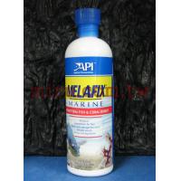 美國魚博士API  海水複方治細菌劑473ml