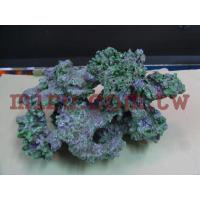 造景擺設-Aqua-Know仿活石套組H403