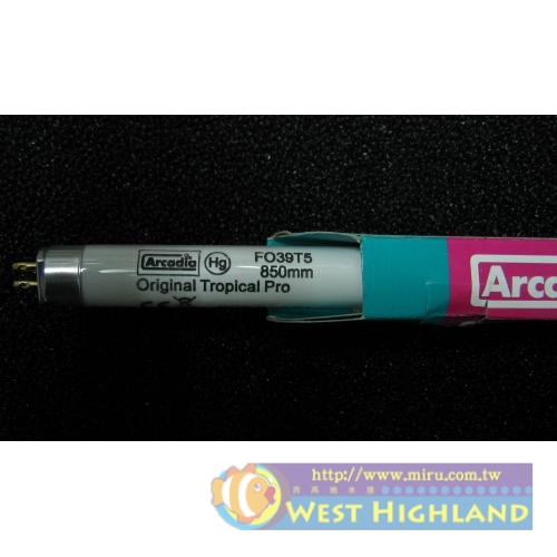 英國Arcadia阿卡迪亞 新超亮淡水鹵素燈管T5(39W)