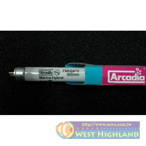 英國Arcadia阿卡迪亞 新超亮海水鹵素燈管T5(24W)