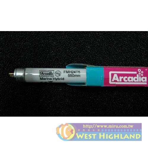 英國Arcadia阿卡迪亞 新超亮海水鹵素燈管T5(39W)