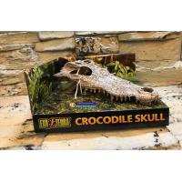 造景擺飾-加拿大 Hagen赫根 爬蟲專家 鱷魚骨頭 躲藏窩
