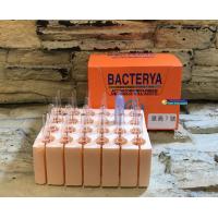 義大利EQUO 意高 1號  活性益生菌（BACTERYA） 24支 盒