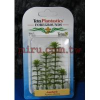 Tetra 仿真水草(造景假水草)水蘊草、柳葉草、紅丁香(2吋)