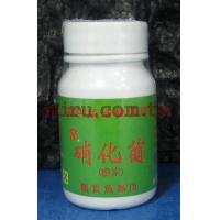 群彩 活菌 淨水菌 (粉狀硝化菌)