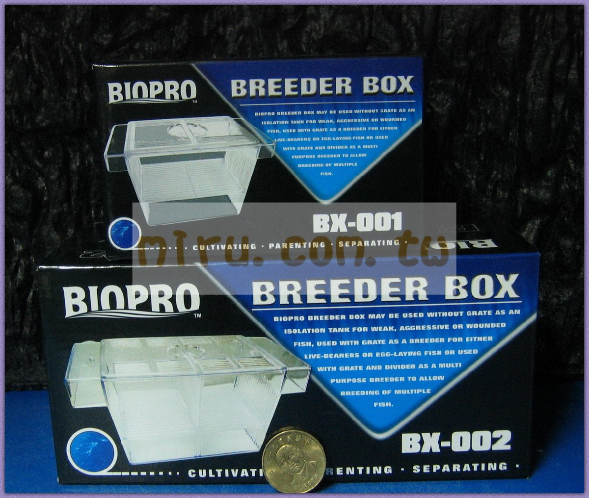 多功能繁殖盒Breeder Box(附上蓋) (L)
