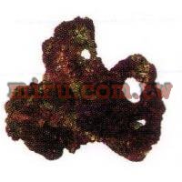 人工珊瑚活石系列 鈣化活石(787)