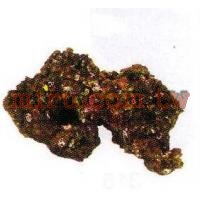人工珊瑚活石系列 鈣化活石(784)