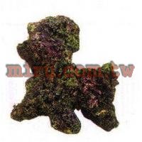 人工珊瑚活石系列 片狀活石(779)