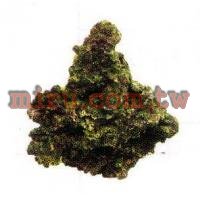 人工珊瑚活石系列 片狀活石(771)
