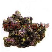 人工珊瑚活石系列 片狀活石(770)