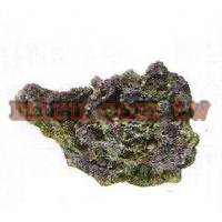 人工珊瑚活石系列 片狀活石(764)