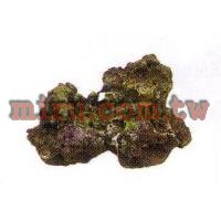 人工珊瑚活石系列 塊枝狀活石(760)
