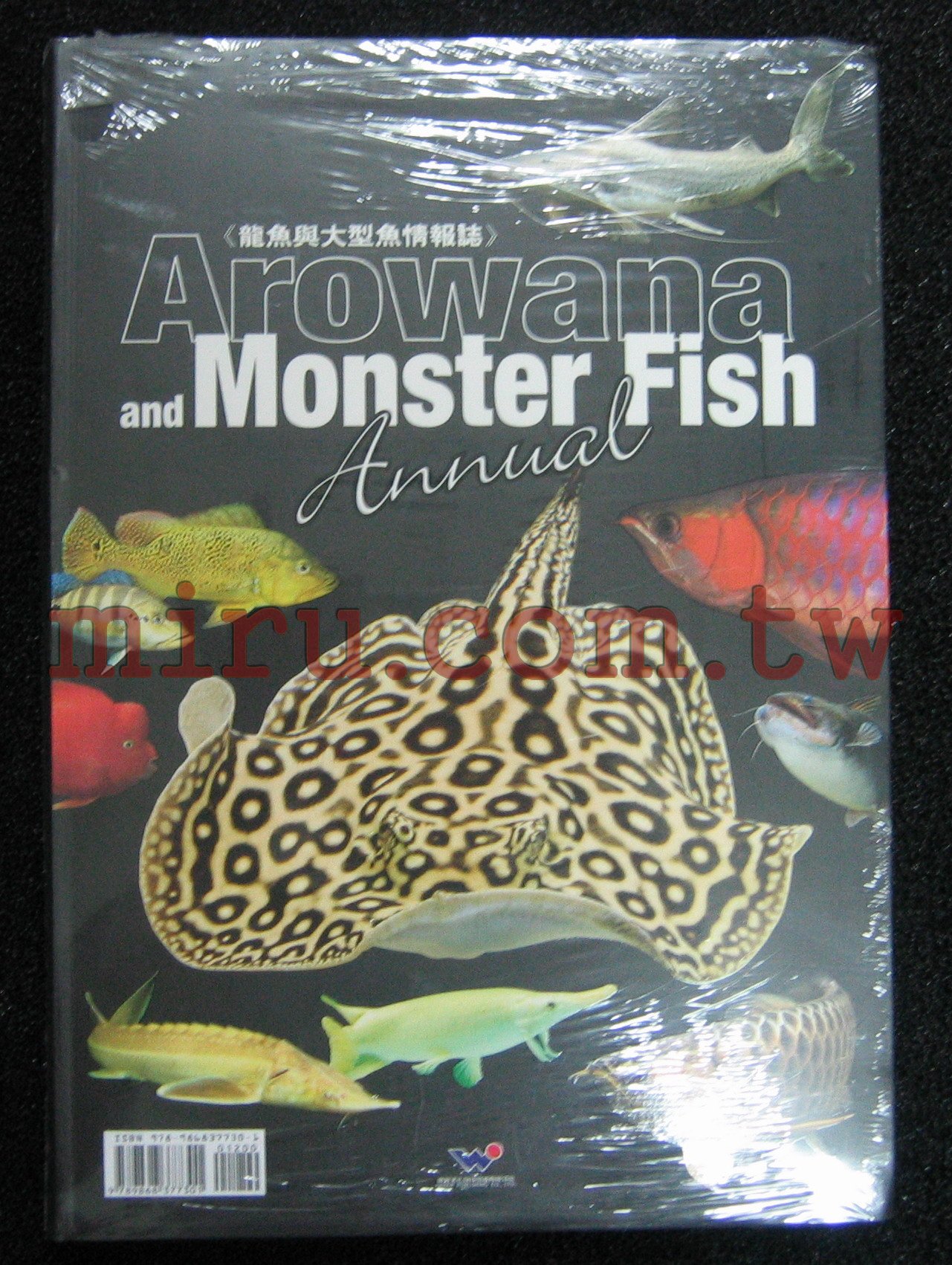 台灣威智-龍魚與大型魚情報誌