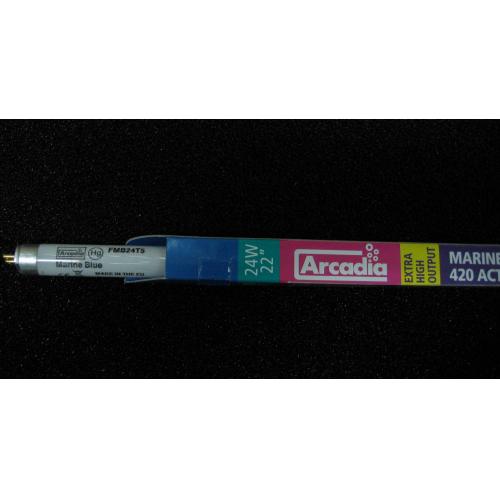 英國Arcadia阿卡迪亞 MARINE BLUE 420 ACTINIC 海水長效培養T5藍燈管(24W)