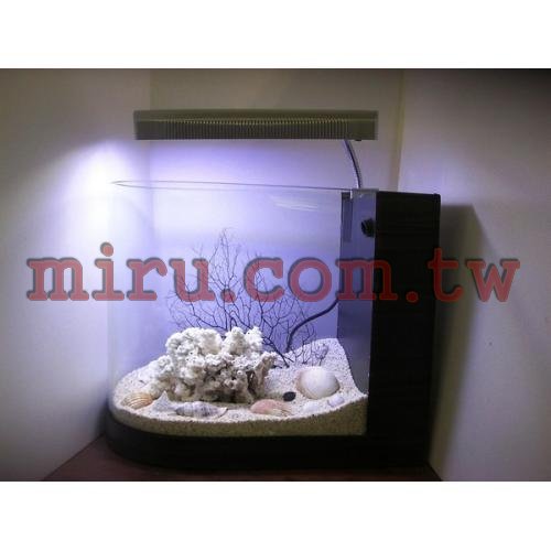 J&D高品質子弹照景缸(各式魚缸訂製全省配送)