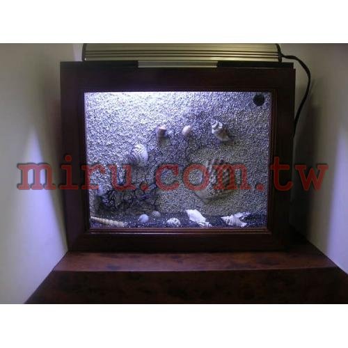 J&D相框珊瑚照景缸(各式魚缸可接受訂製)