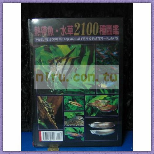 魚雜誌出版社 熱帶魚、水草2100種圖鑑 新上市