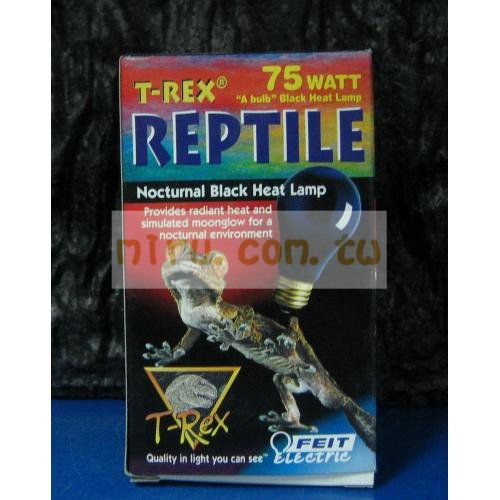 T-REX(TREX) 爬蟲專業加溫燈泡 夜間燈泡 75W(黑色)