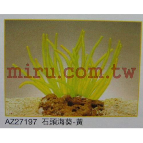 AZOO霓虹螢光珊瑚 石頭海葵(黃,白,橘,綠)