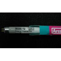 英國Arcadia阿卡迪亞 新超亮淡水鹵素燈管T5(24W)
