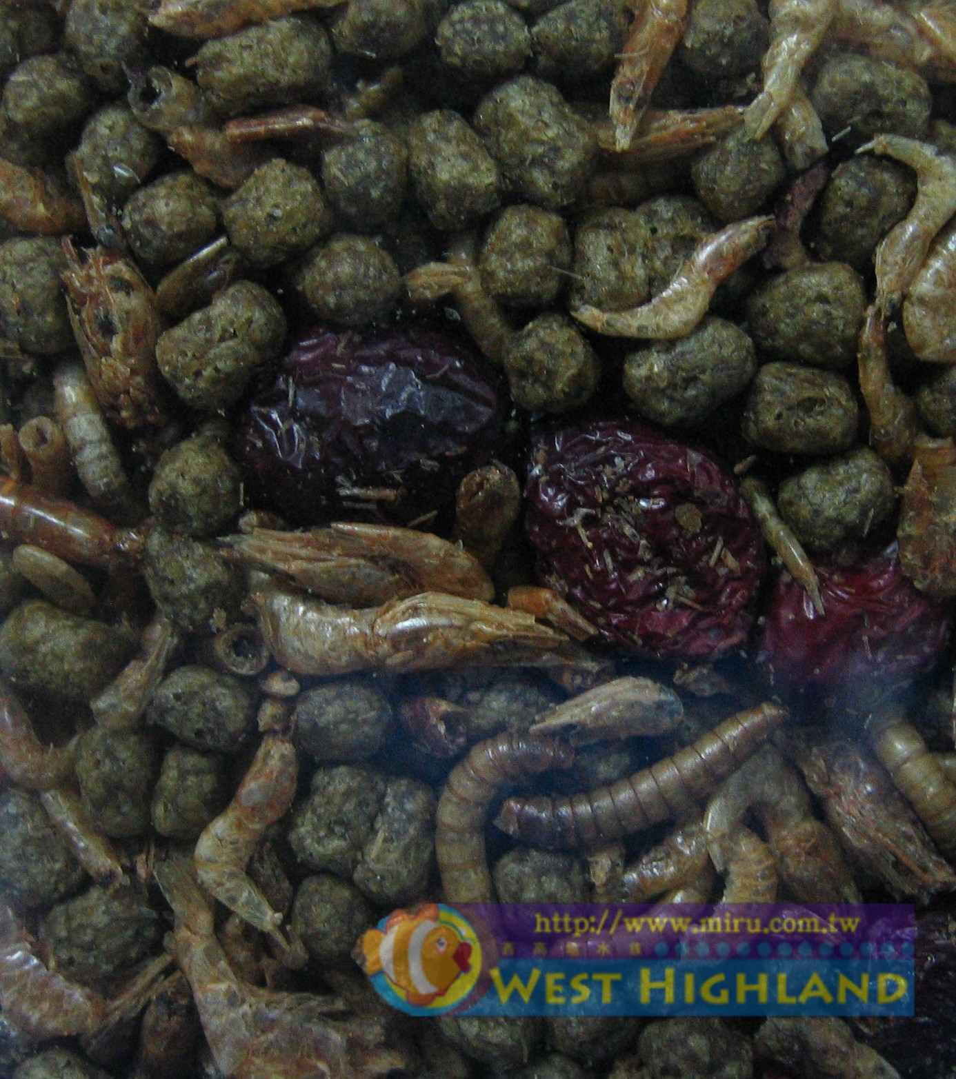 ZOO MED  精緻雜糧水龜飼料 (170g)-麵包蟲.乾燥蝦.小魚乾.紅棗
