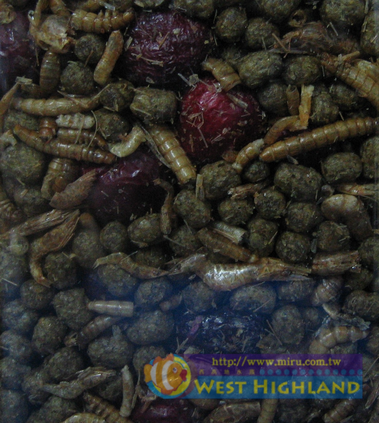 ZOO MED  精緻雜糧水龜飼料 (340g)-麵包蟲.乾燥蝦.小魚乾.紅棗