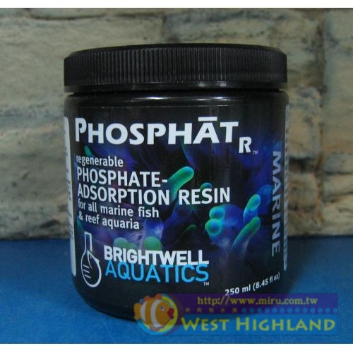 美國BWAPhosphatr 再生型磷酸、矽酸鹽吸附樹脂 250ml