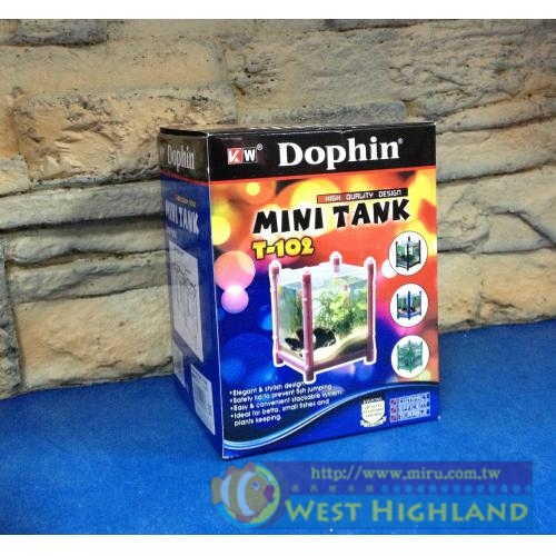 海豚Dophin《MINI TANK 迷你鬥魚缸-粉紅色 壓克力製鬥魚缸