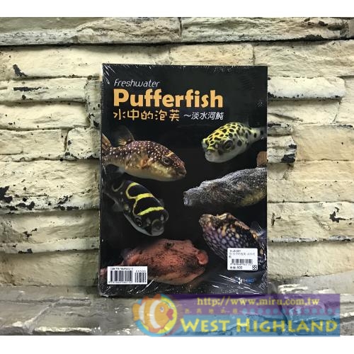 魚雜誌 工具書 書籍 Pufferfish 水中的泡芙 淡水河魨 娃娃 河豚 狗頭 