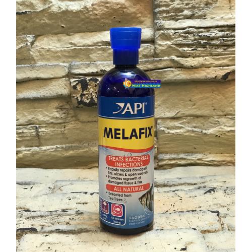 美國API魚博士 天然茶樹 處理劑MELAFIX(473ml)