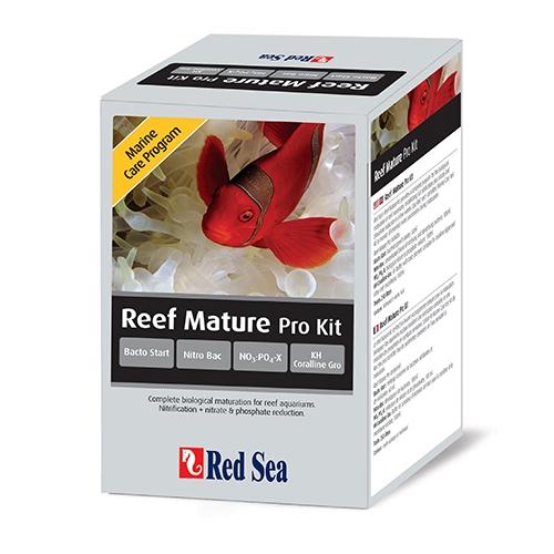 以色列Red Sea 紅海 紅海海水開缸四寶