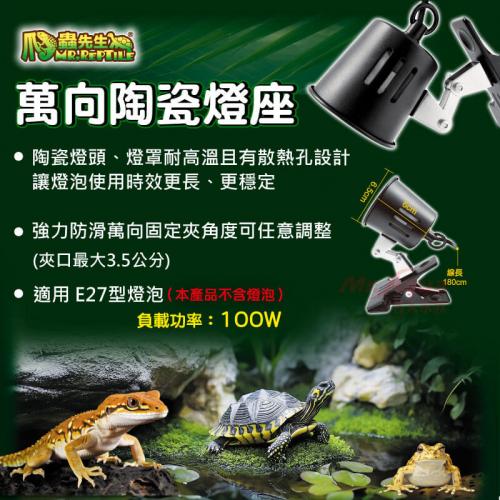 爬蟲先生 爬蟲萬向陶瓷燈座