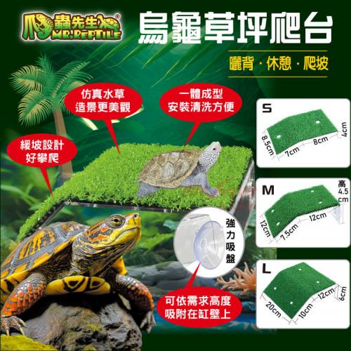 爬蟲先生 爬蟲先生 烏龜草坪爬台M