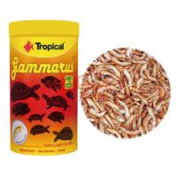 德比克Tropical 高蛋白乾燥蝦(100ml)