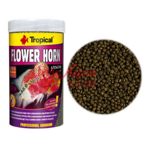 波蘭Tropical德比克 高蛋白花羅漢幼魚成長飼料 250ml